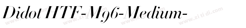 Didot HTF-M96-Medium字体转换